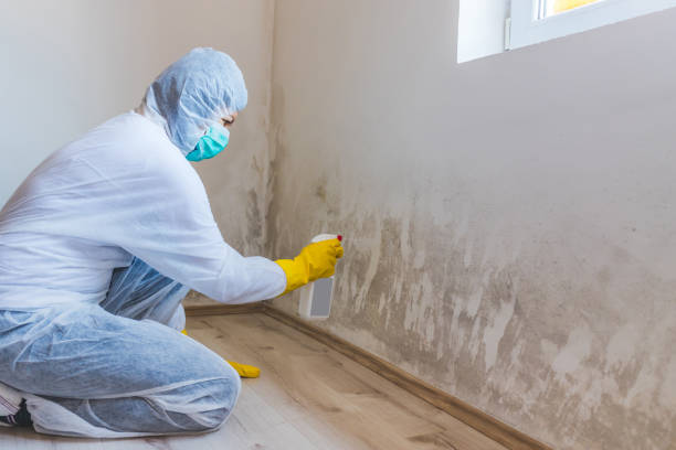 Mold Remediation specialist working in Norwood Young America